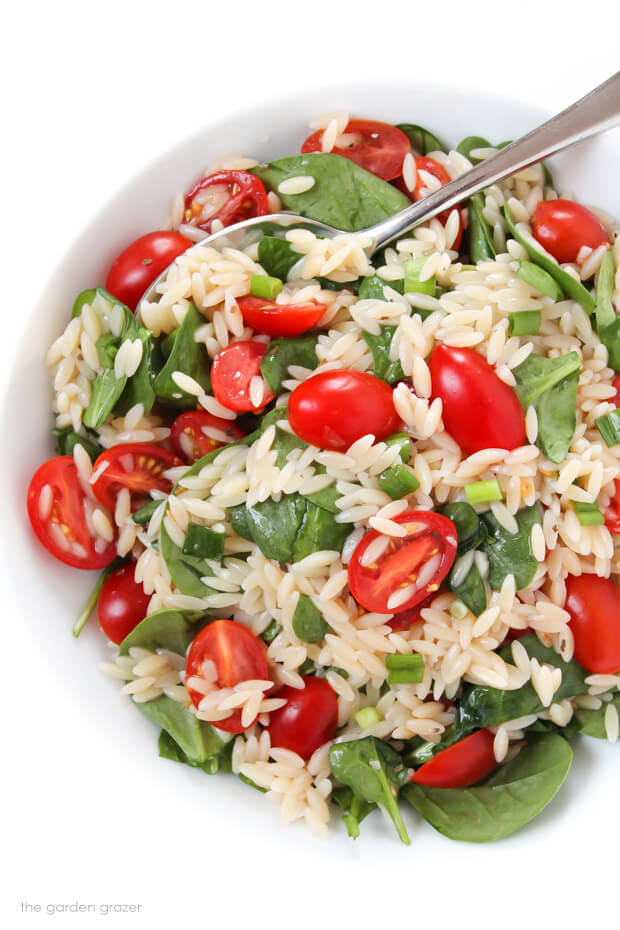 Vegan Orzo Salad with Spinach and Tomato