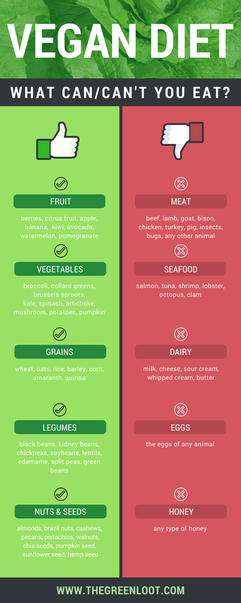 Are you starting a vegan diet and wondering: what can vegans eat? Then, you will find this article an easy and useful guide to help you learn the typical vegan diet. Beginner-friendly! | The Green Loot #vegan