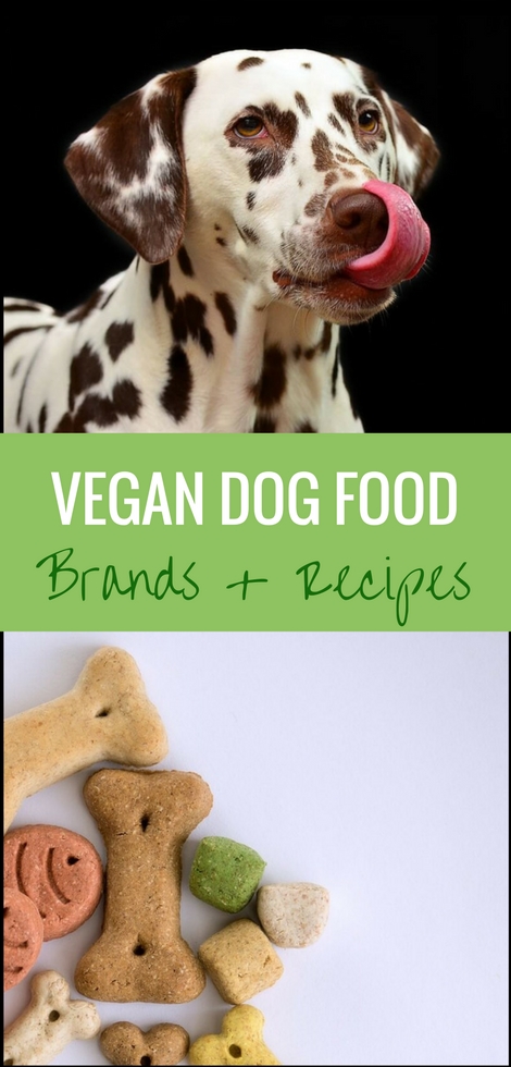 Read about the best vegan dog food brands and homemade recipes to give and make for your furry best friend. If done properly, dogs thrive on a plant-based diet, after all! | The Green Loot #vegan #dogfood