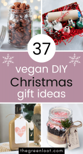 37 DIY Vegan Christmas Gift Ideas (Edible) | The Green Loot