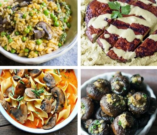 vegan mushroom recipes