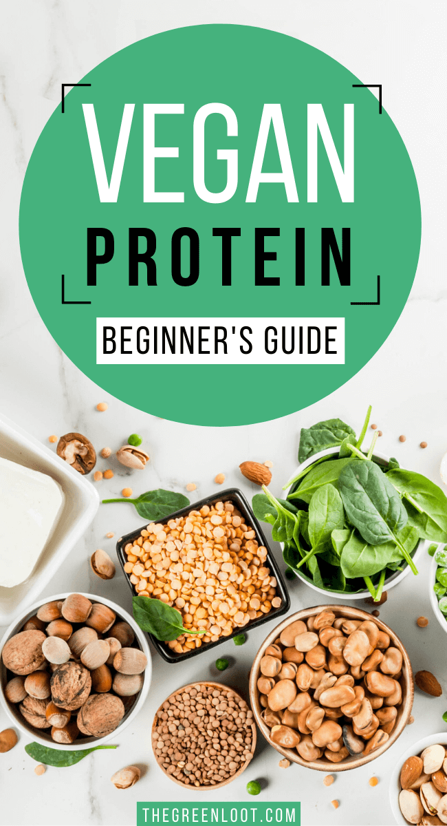 An easy beginner's guide to all the vegan protein sources! Learn all about plant protein. | The Green Loot #vegan #plantbased