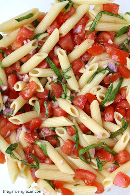 Vegan Summer Fresh Tomato and Basil Pasta