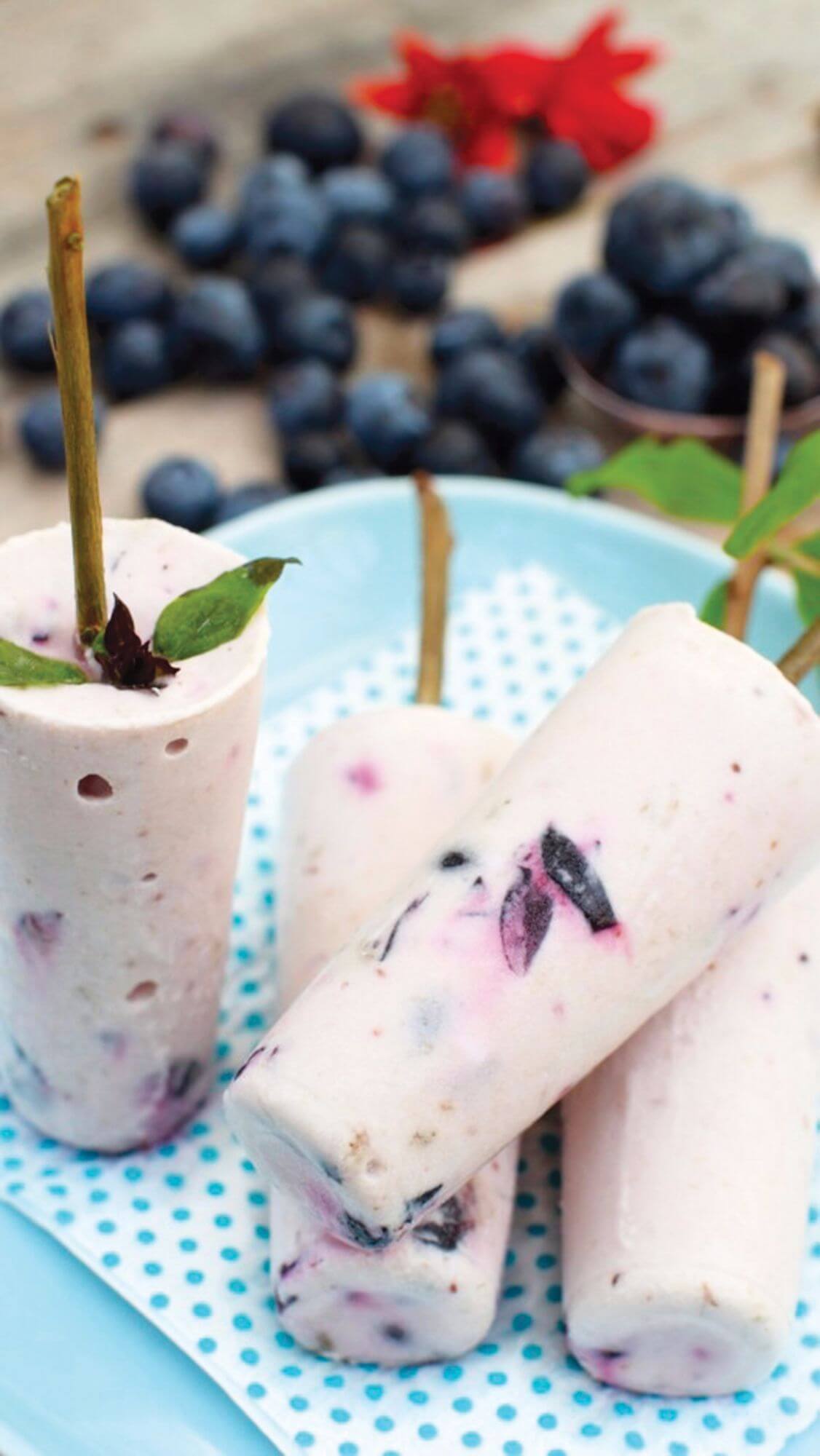 Vegan Blueberry Coconut Dream Popsicles