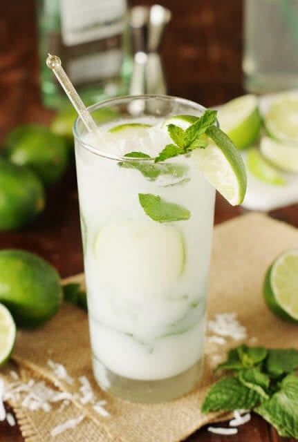 Vegan Coconut Mojito