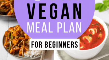 vegan meal plan