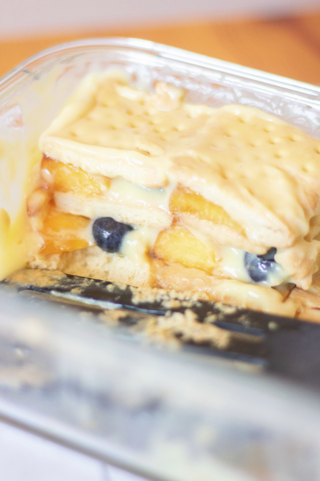 Vegan Vanilla Icebox Cake Recipe with Pudding, Blueberries and Peaches