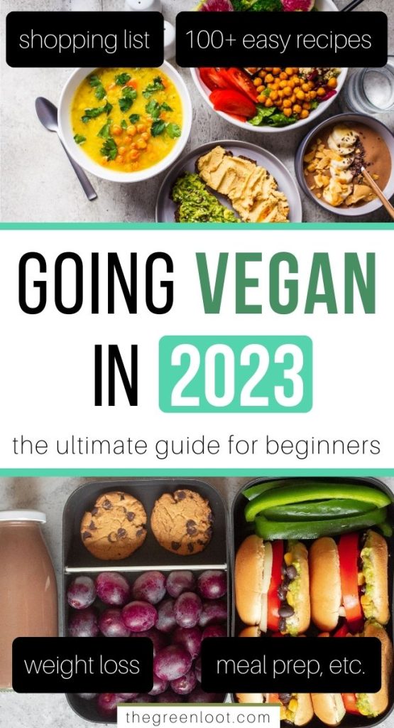 Going Vegan For Beginners: Ultimate 2024 Guide | The Green Loot