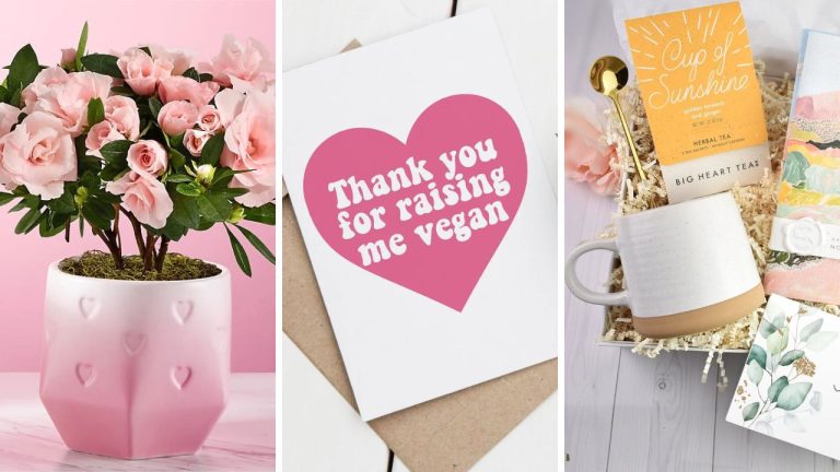 vegan Mother's Day Gift ideas