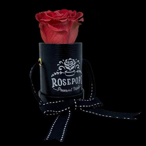 Rosepops preserved rose with vegan leather holder