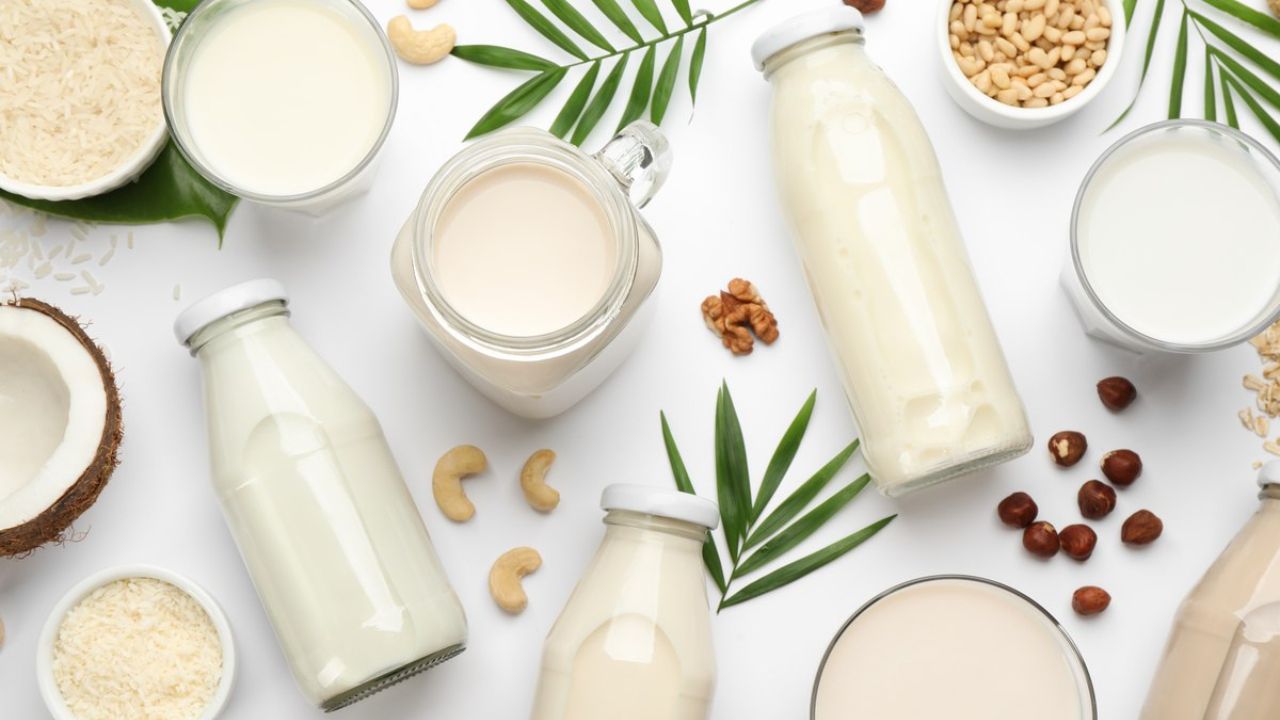 2023 Vegan Dairy Alternatives Guide : Milk, Cheese, Butter Substitutes